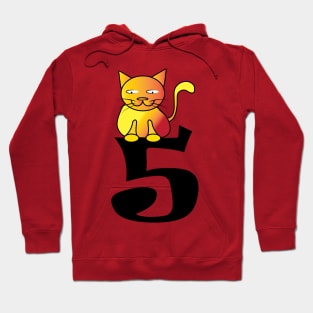 Gift for 5 Year Old Cat 5th Birthday Toddler Kids Girls Hoodie